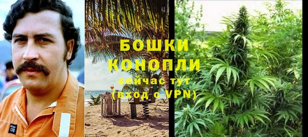экстази Белокуриха