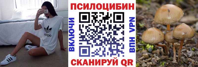 Псилоцибиновые грибы Psilocybe  Кемерово 